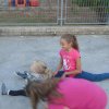 festa_dei_colori_2014 80